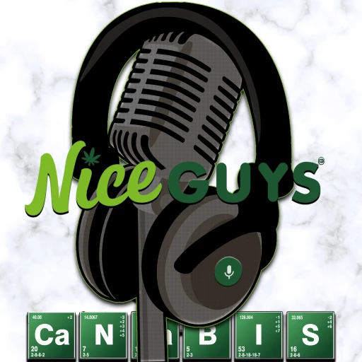 Not Your Average Nice Guys Podcast