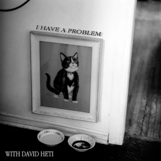 I Have a Problem, With David Heti