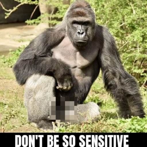 Don’t be so sensitive