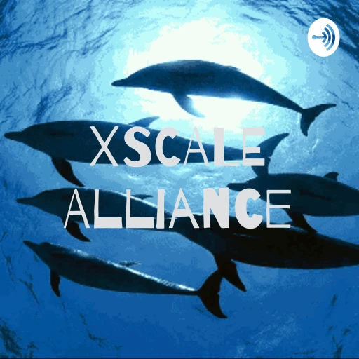 XSCALE Peer-to-Peer Interviews