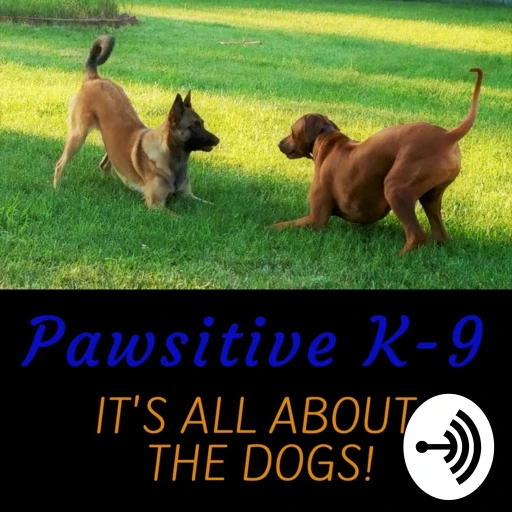 Pawsitive K-9 It’s All About The Dogs!