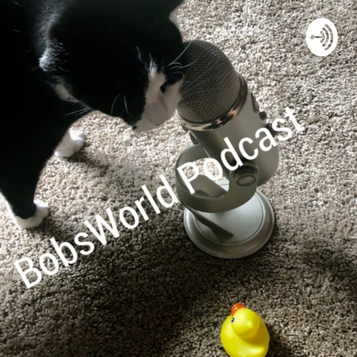 Bobs World Broadcasting now