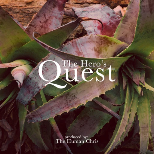 The Hero’s Quest