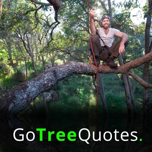 Go Tree Quotes