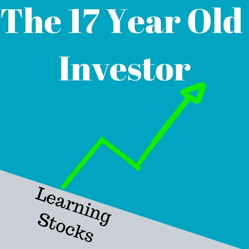 17 Year Old Investor