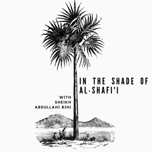 In the Shade of al-Shafi’i