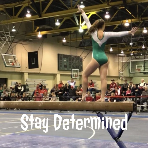 Stay Determined