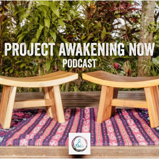 Project Awakening Now