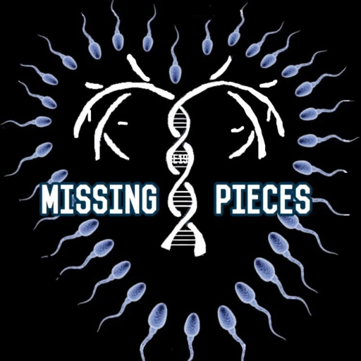 Missing Pieces