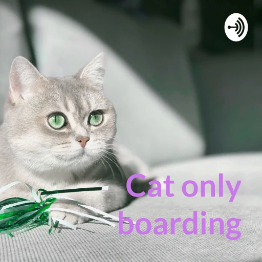 Cat only boarding – is it right for my ca