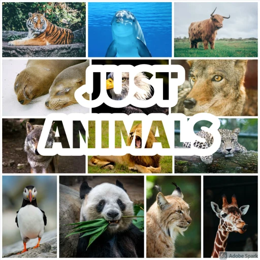 Just Animals