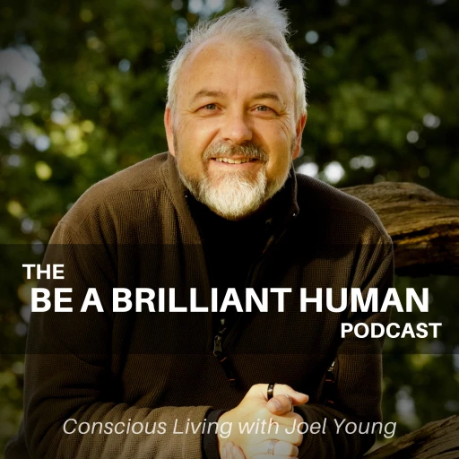 Be A Brilliant Human | Conscious Living with Joel Young