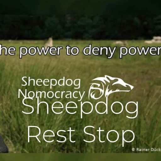 Sheepdog Rest Stop