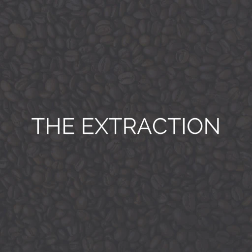 The Extraction