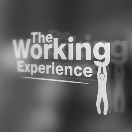 The Working Experience