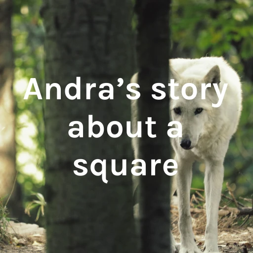 Andra’s story about a square