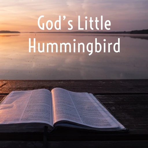 God’s Little Hummingbird: Bible Time