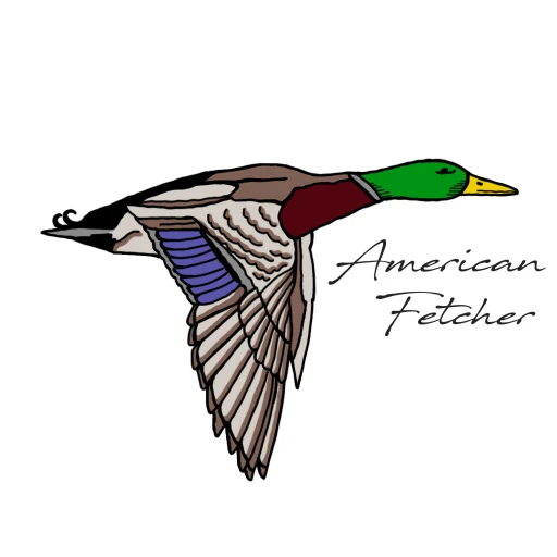 American Fetcher – Morning Chat