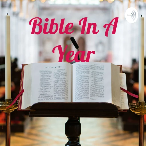 Bible In A Year