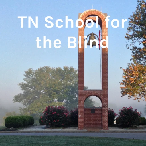 TN School for the Blind: The Way WE See It