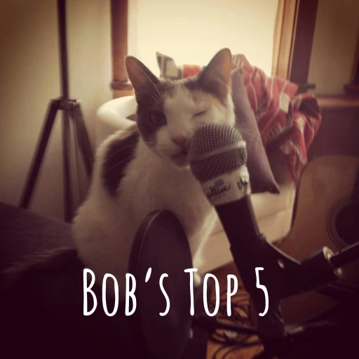 Bob’s Top 5 – powered by Downwrite