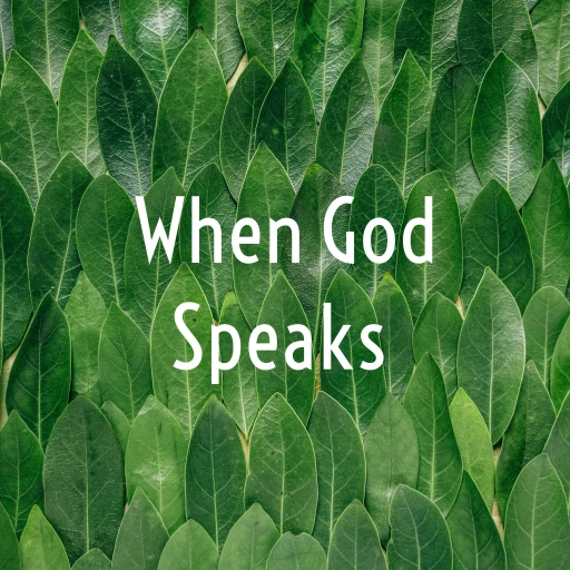 When God Speaks…shared By Donna Bowser