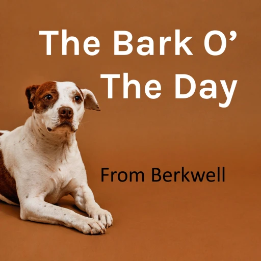 The Bark O’ The Day