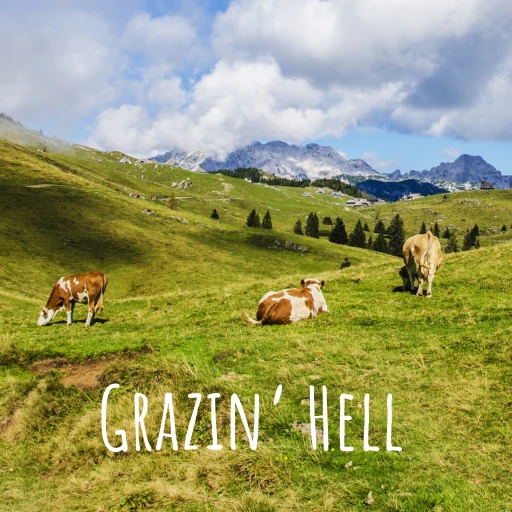 Grazin’ Hell