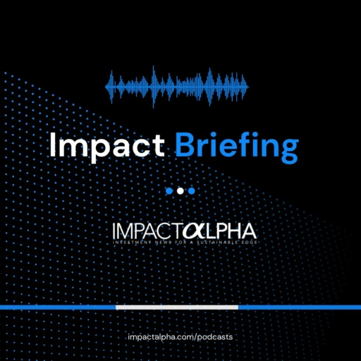 Impact Briefing