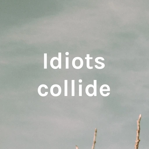 Idiots collide