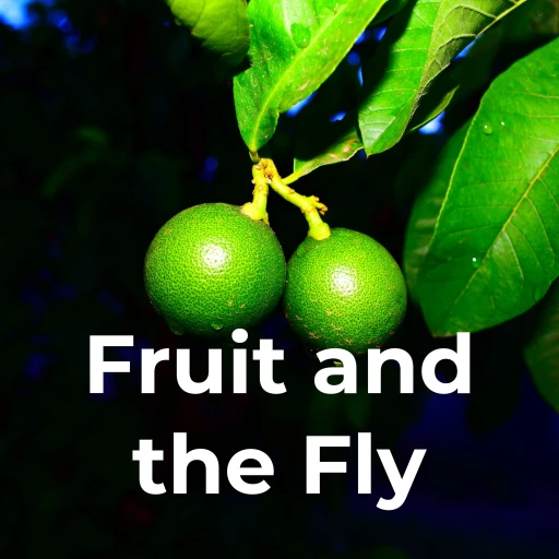 Fruit and the Fly