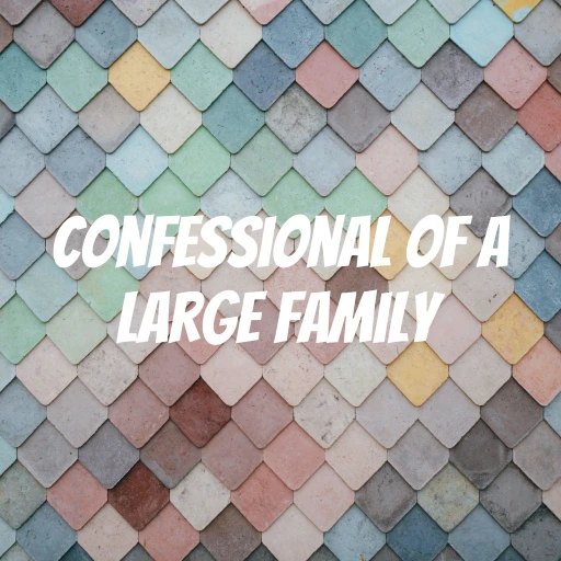 Confessional of a Large Family