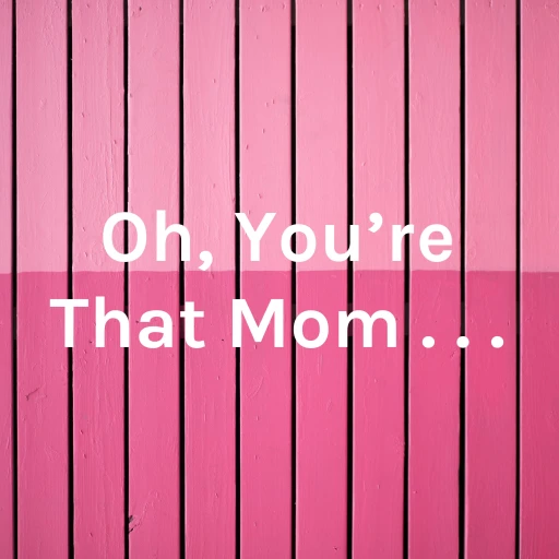 Oh, You’re That Mom . . .