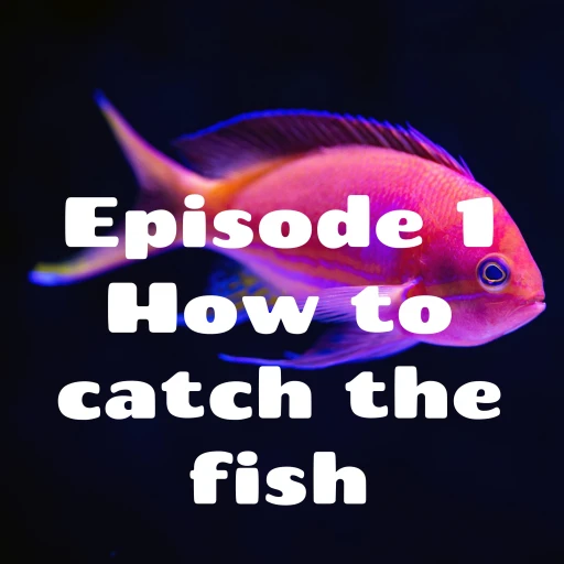 Episode 1 What to use to catch the fish