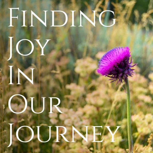 Finding Joy In Our Journey