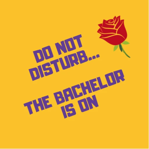 Do Not Disturb – The Bachelor is On