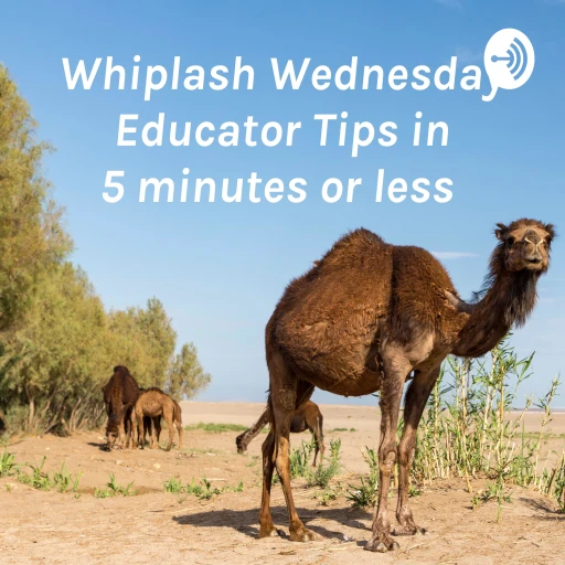 Whiplash Wednesday Educator Tips in 5 minutes or less