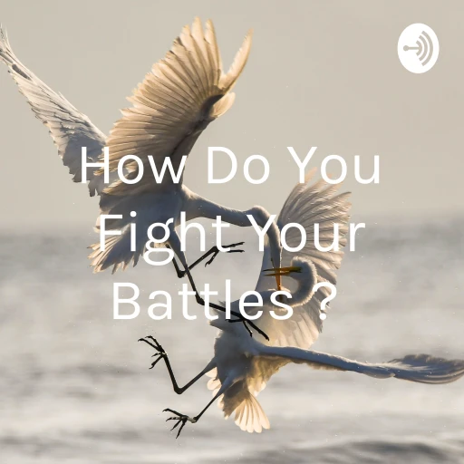 How Do You Fight Your Battles ?