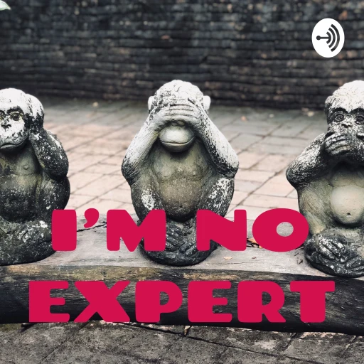 I’M NO EXPERT