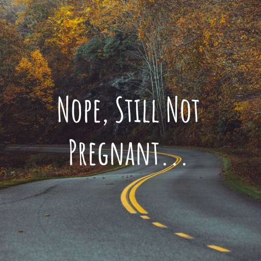 Nope, Still Not Pregnant…