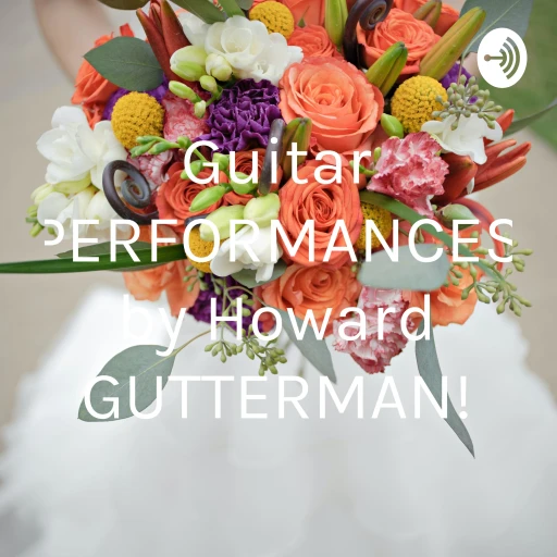 Guitar PERFORMANCES by Howard GUTTERMAN!