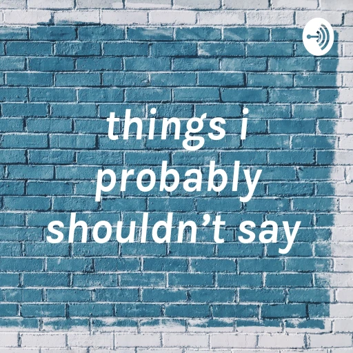 things i probably shouldn’t say