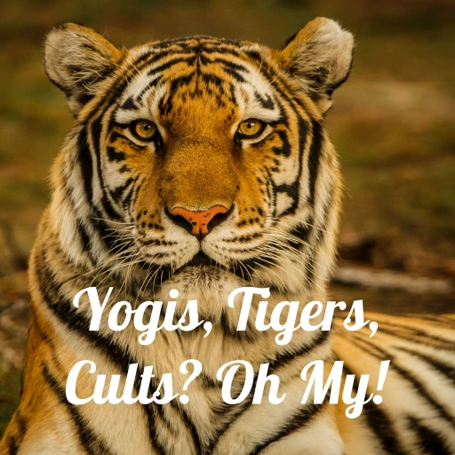 Yogis, Tigers, Cults? Oh My! And Other Topics