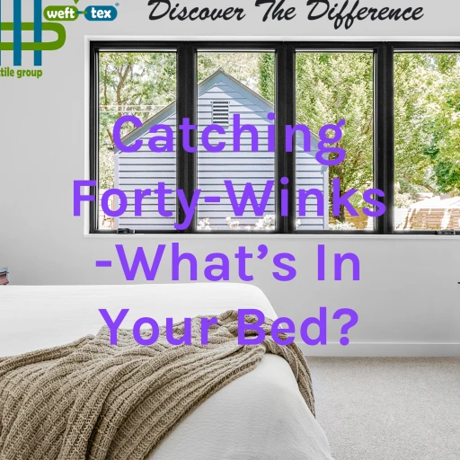 Catching Forty-Winks -What’s In Your Bed?