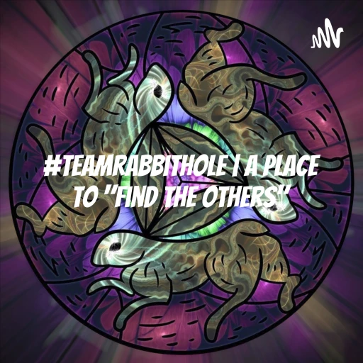 #TEAMrabbithole 1 | Jim Kincaid – What is #TEAMrabbithole?