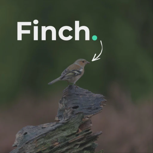 The Finch Podcast