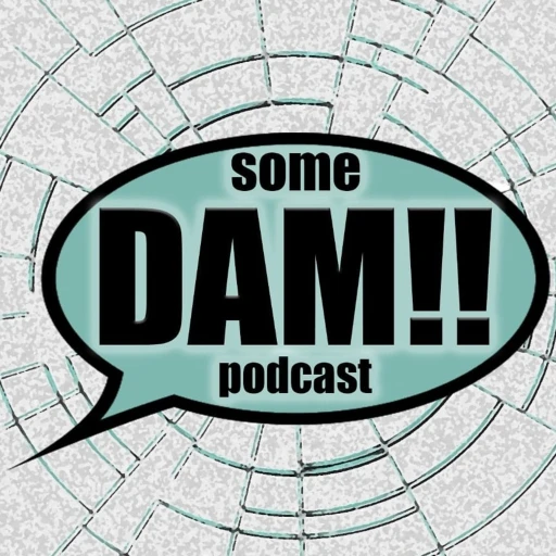 Some DAM Podcast