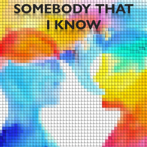 SOMEBODY THAT I KNOW