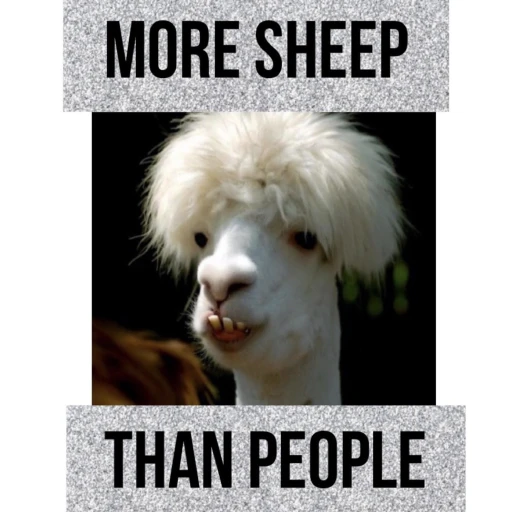 More Sheep Than People