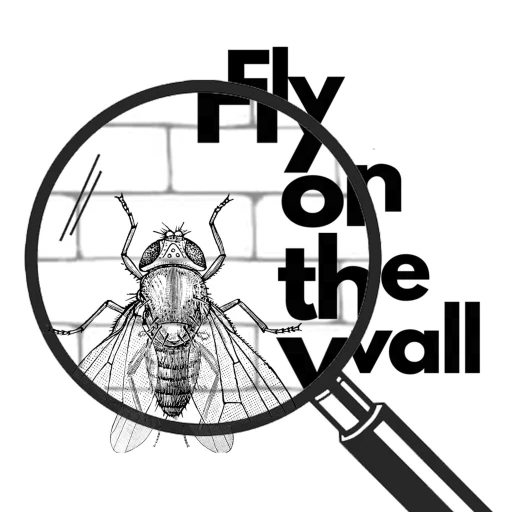 Fly on the Wall